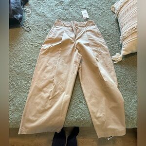 Zara Light Tan Trousers